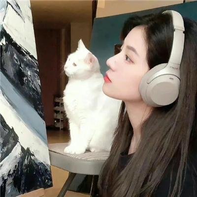 孙神探与黑寡妇的诅咒